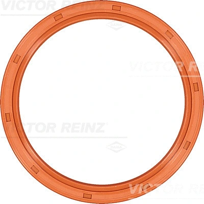 Alkūninio veleno riebokšlis VICTOR REINZ 81-35521-00