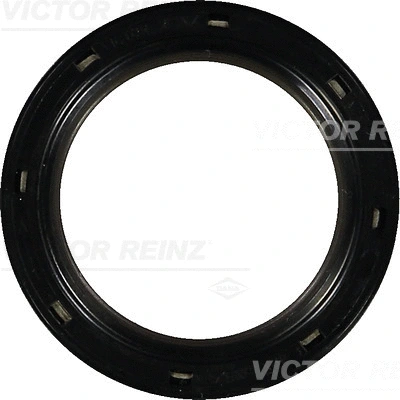 Alkūninio veleno riebokšlis VICTOR REINZ 81-35554-00