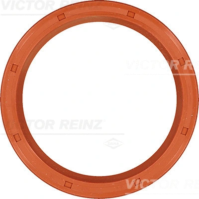 Alkūninio veleno riebokšlis VICTOR REINZ 81-35908-00