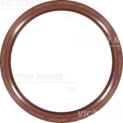 Alkūninio veleno riebokšlis VICTOR REINZ 81-38229-00