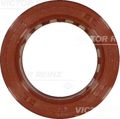 Alkūninio veleno riebokšlis VICTOR REINZ 81-40328-00