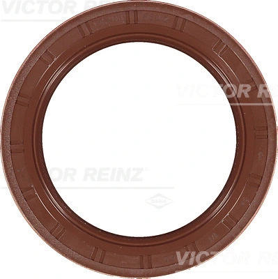 Alkūninio veleno riebokšlis VICTOR REINZ 81-40874-00