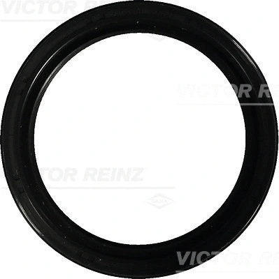 Alkūninio veleno riebokšlis VICTOR REINZ 81-41271-00