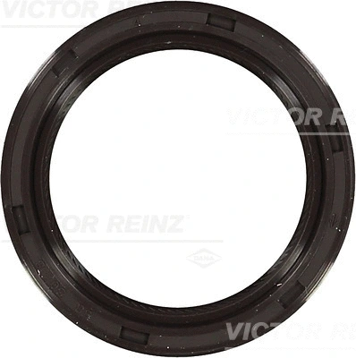 Alkūninio veleno riebokšlis VICTOR REINZ 81-53256-00