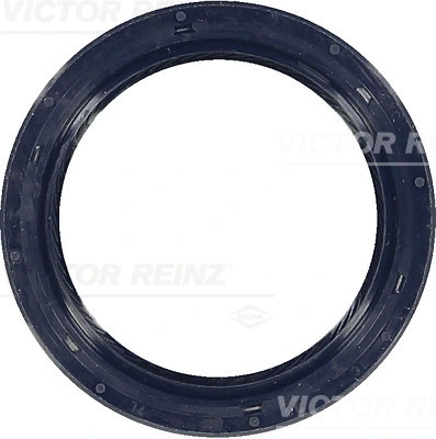 Alkūninio veleno riebokšlis VICTOR REINZ 81-53257-00