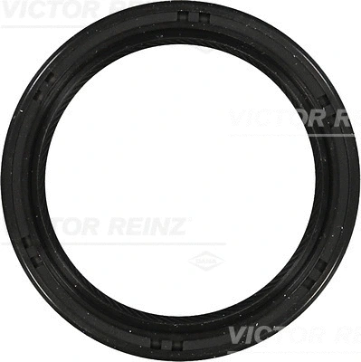 Alkūninio veleno riebokšlis VICTOR REINZ 81-53277-00