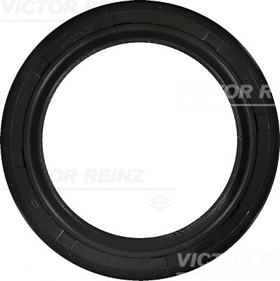 Alkūninio veleno riebokšlis VICTOR REINZ 81-53296-00
