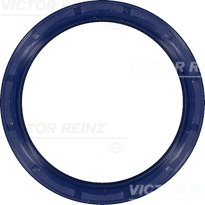 Alkūninio veleno riebokšlis VICTOR REINZ 81-53328-00