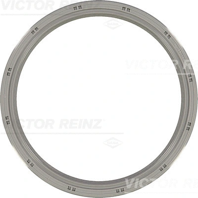 Alkūninio veleno riebokšlis VICTOR REINZ 81-53334-00