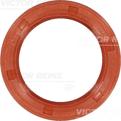 Alkūninio veleno riebokšlis VICTOR REINZ 81-53409-00