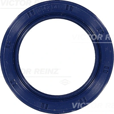 Alkūninio veleno riebokšlis VICTOR REINZ 81-53649-00