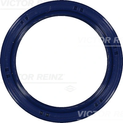 Alkūninio veleno riebokšlis VICTOR REINZ 81-53699-00