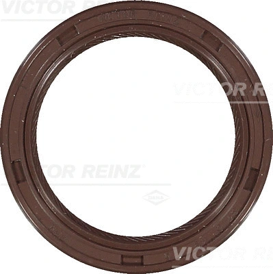 Alkūninio veleno riebokšlis VICTOR REINZ 81-53979-00