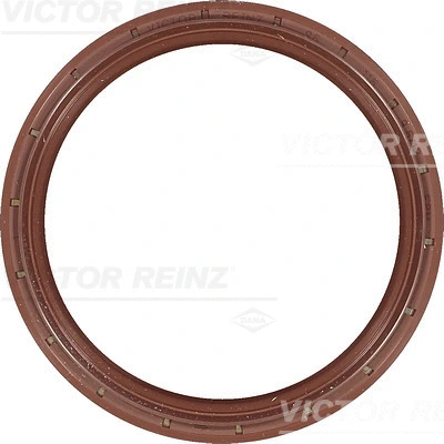 Alkūninio veleno riebokšlis VICTOR REINZ 81-54016-00