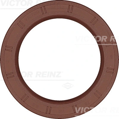 Alkūninio veleno riebokšlis VICTOR REINZ 81-54087-00