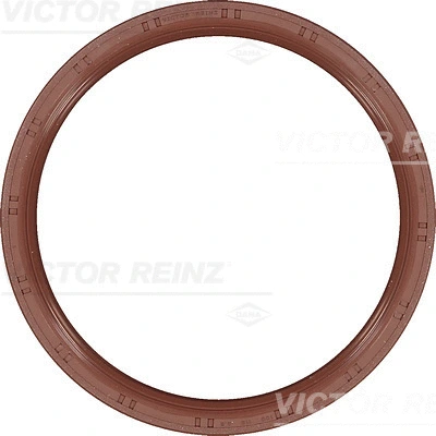 Alkūninio veleno riebokšlis VICTOR REINZ 81-54129-00