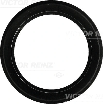 Alkūninio veleno riebokšlis VICTOR REINZ 81-54272-00