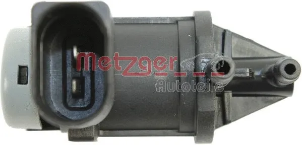 Išmetamųjų dujų valdymo EGR vožtuvas METZGER 0892556