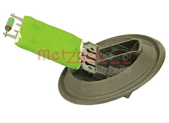 Vidaus putiklio varža METZGER 0917028