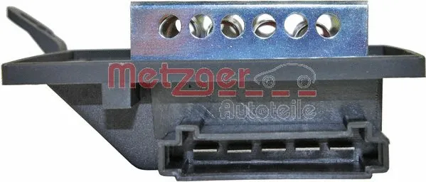 Vidaus putiklio varža METZGER 0917243