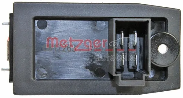 Vidaus putiklio varža METZGER 0917263