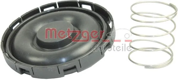Karterio alsuoklio membrana METZGER 2385066