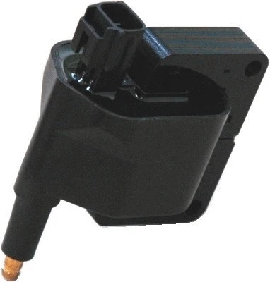 Uždegimo ritė MAGNETI MARELLI 060717079012