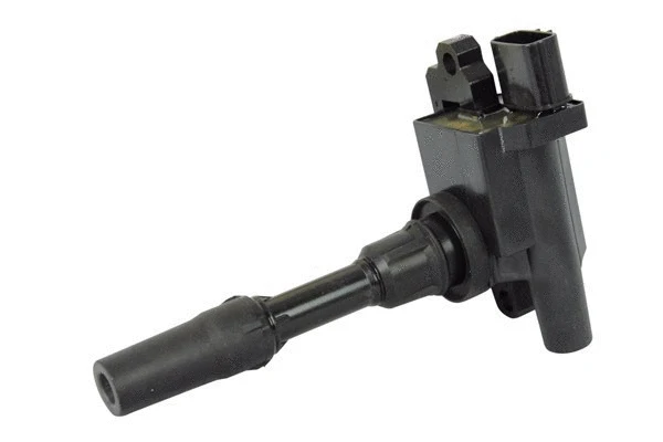 Uždegimo ritė MAGNETI MARELLI 060717093012
