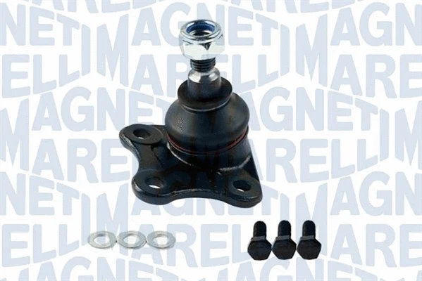 Balansyro tvirtinimo veržlės MAGNETI MARELLI 301191617780