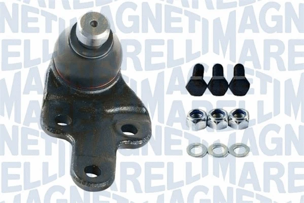 Balansyro tvirtinimo veržlės MAGNETI MARELLI 301191618440