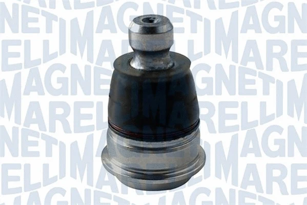 Balansyro tvirtinimo veržlės MAGNETI MARELLI 301191619200