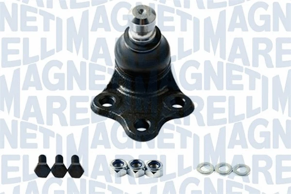 Balansyro tvirtinimo veržlės MAGNETI MARELLI 301191619900