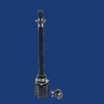 Lankstusis šarnyras (granata) MAGNETI MARELLI 302009100017