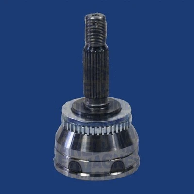 Lankstusis šarnyras (granata) MAGNETI MARELLI 302015100153