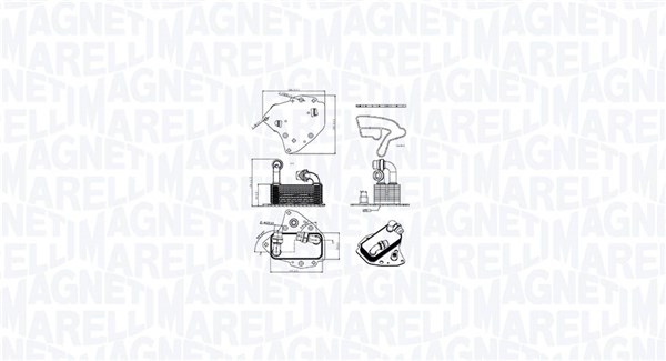 Variklio alyvos aušintuvas MAGNETI MARELLI 350300000600