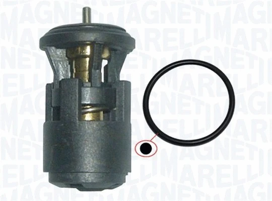 Termostatas MAGNETI MARELLI 352317002860