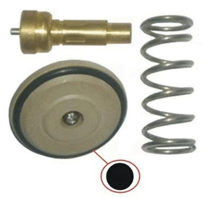Termostatas MAGNETI MARELLI 352317003470