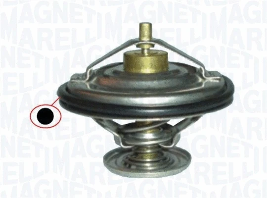 Termostatas MAGNETI MARELLI 352317100120