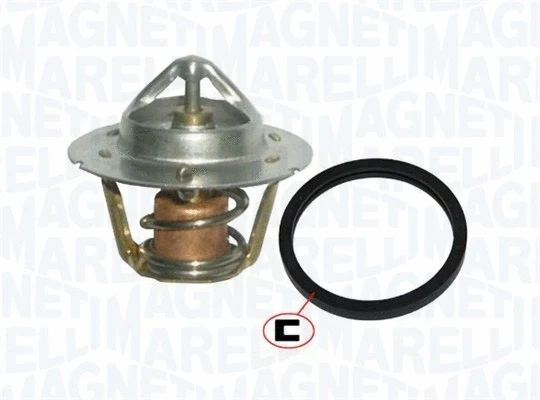 Termostatas MAGNETI MARELLI 352317100200