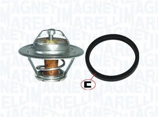 Termostatas MAGNETI MARELLI 352317100760