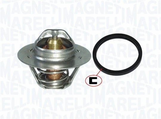 Termostatas MAGNETI MARELLI 352317101020