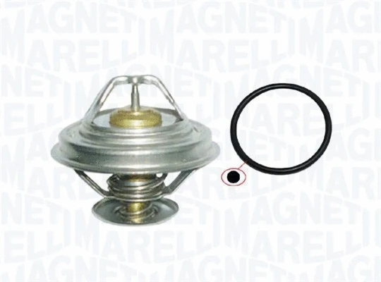 Termostatas MAGNETI MARELLI 352317101160