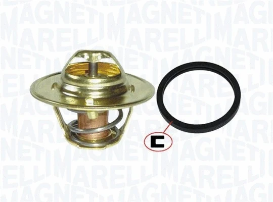 Termostatas MAGNETI MARELLI 352317101170