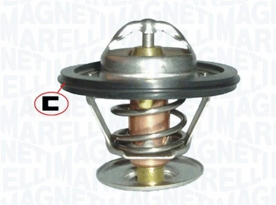 Termostatas MAGNETI MARELLI 352317101180