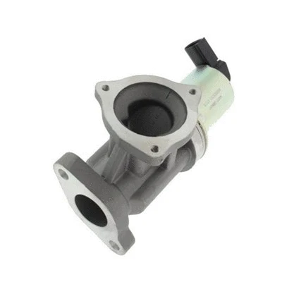 ERG vožtuvas MAGNETI MARELLI 571822112012