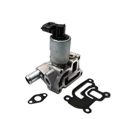 ERG vožtuvas MAGNETI MARELLI 571822112017