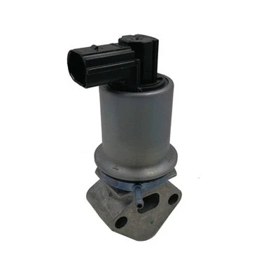 ERG vožtuvas MAGNETI MARELLI 571822112071