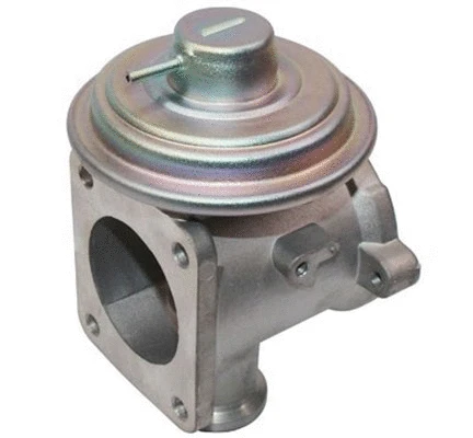 ERG vožtuvas MAGNETI MARELLI 571822112094