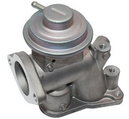 ERG vožtuvas MAGNETI MARELLI 571822112118