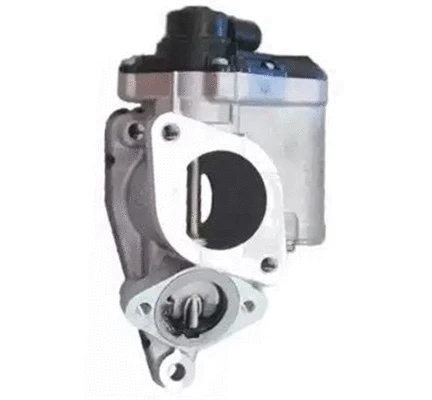 ERG vožtuvas MAGNETI MARELLI 571822112140